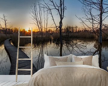 Wandelpad in Het Vinne, zonsondergang in Zoutleeuw