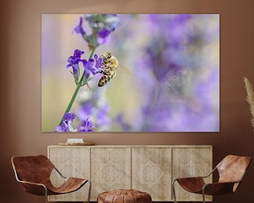 Bee on the lavender by Mark Bolijn