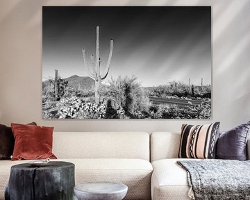 Landschapsimpressie uit het Saguaro National Park | Monochroom van Melanie Viola