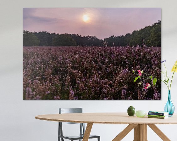 Aperçu de la chambre