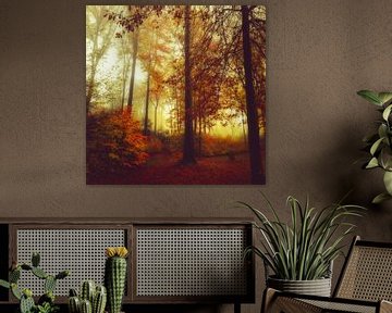 les couleurs de la forêt en automne sur Dirk Wüstenhagen