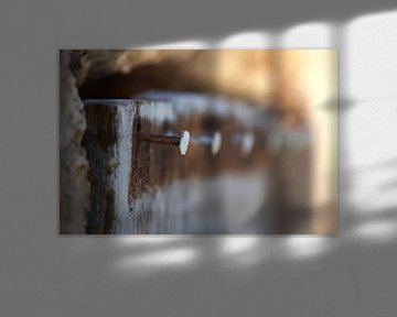 Dolce Vita series: Decayed Door von juvani photo