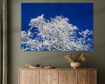 Een echte winterdroom! Gesuikerde takken van bomen, diepblauwe lucht - zo stel je je je de winter vo van Rudolf Brandstätter