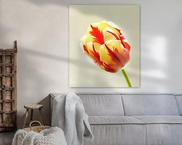 tulp flame 1 van Jonathan Kremer