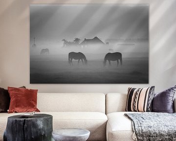 Grazende paarden in de mist bij Dorkwerd (zwart-wit)