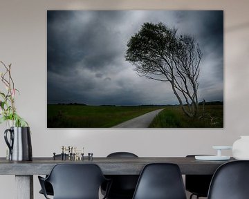 Arbre de ventilateur sur Schiermonnikoog