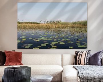 Okavango-delta is een van de zeven natuurlijke wonderen van Afrika, Botswana. van Tjeerd Kruse