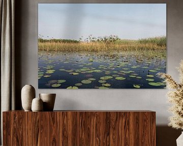 Okavango-delta is een van de zeven natuurlijke wonderen van Afrika, Botswana. van Tjeerd Kruse
