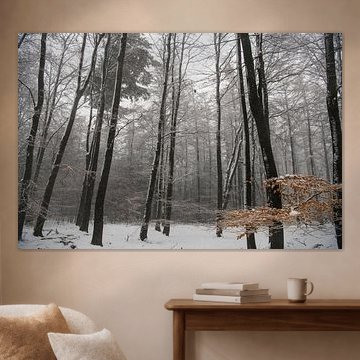 The veluwe in winter