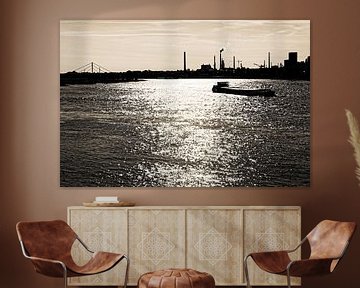 Poseidon's uitzicht op de Rijn (7-493633) B+W van Franz Walter