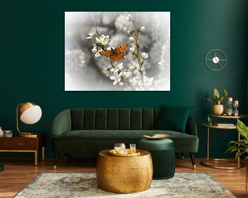 Schmetterling auf Mirabellenblüten von Angélique Vanhauwaert