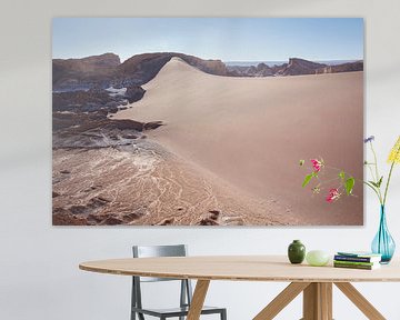 Landscape of the Atacama desert nearby San Pedro de Atacama, Antofagasta area, Chile by Tjeerd Kruse