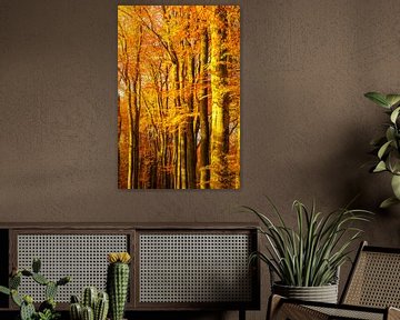 Sonniger Wald während eines schönen nebligen Herbsttages mit braunen goldenen Blättern. von Sjoerd van der Wal Fotografie
