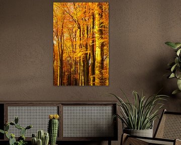 Sunny forest during a beautiful foggy fall day with brown golden leaves by Sjoerd van der Wal Photography