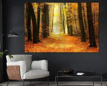 Pfad durch einen goldfarbenen Wald an einem schönen, sonnigen Herbsttag. von Sjoerd van der Wal