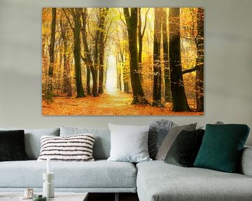 Path through a gold colored forest during a beautiful sunny fall day by Sjoerd van der Wal Photography