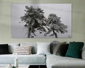 winter - bomen - sneeuw van Henriette Tischler van Sleen