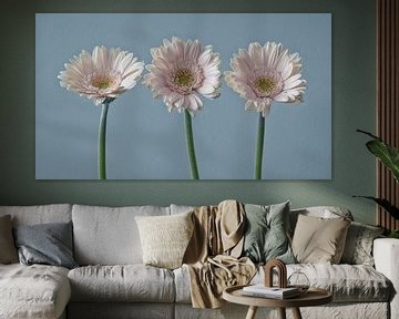 Roze Gerbera's | stilleven in pastel van Marianne Twijnstra