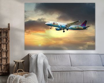 Vliegtuig Brussels Airlines Bruegel van Angélique Vanhauwaert