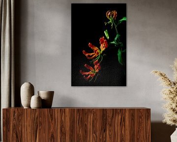 Sierlijke bloem  de Gloriosa van Leonie van den Udenhout