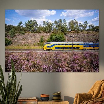 Een dubbeldekker trein langs de heide bij Halte Assel