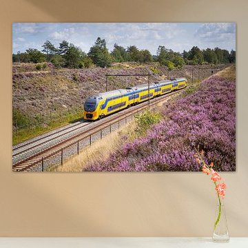 Een dubbeldekker trein langs de heide bij Halte Assel