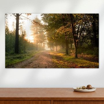 Traditionele ochtendwandelaars pad