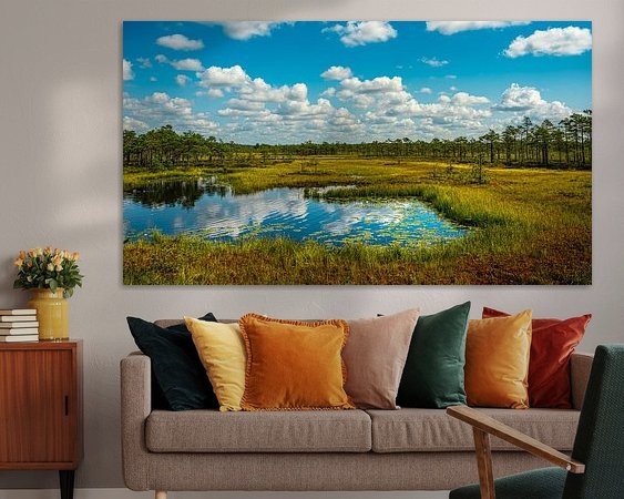 Aperçu de la chambre