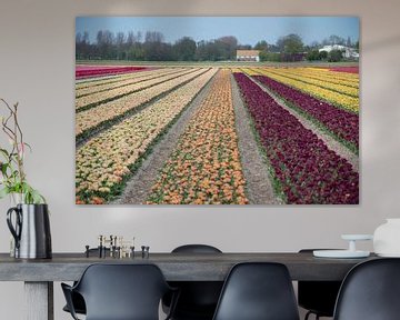 United colors of flowers I by Arthur Wijnen