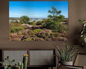 Blick auf die Schäreninseln vor der Stadt Fjällbacka in Schweden von Rico Ködder
