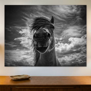 Ein Ohr, ein Auge und eine Nase