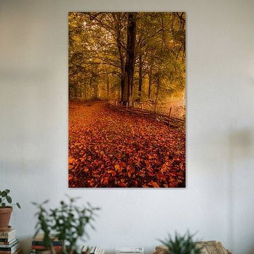 La magie dans la forêt