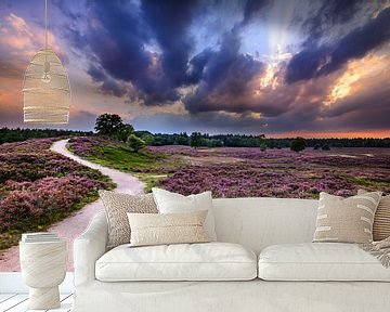 Zonsondergang op de Heide van Eelke Brandsma