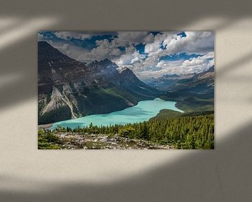 Peyto Lake (Kanada) von Eelke Brandsma