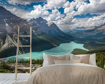 Peyto Lake (Canada) by Eelke Brandsma