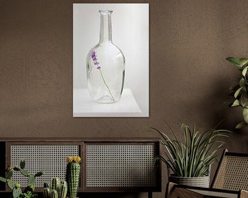 Lavender in vase by Ester Ammerlaan