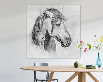 Zwart-wit portret van een mooi konikpaard van Fotografie Jeronimo