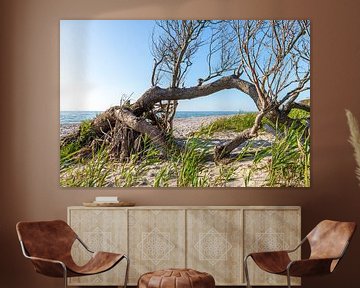 Oude boomwortel ligt verweerd op een zandstrand met uitzicht op zee. van Hans-Jürgen Janda