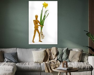 Jonquille jaune / clochette de jonquille avec bulbe et fleur sur fond blanc