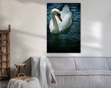 Swan drop van Mariska Hofman