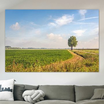 Malerische niederländische Landschaft in Noord-Brabant