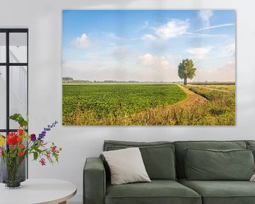 Malerische niederländische Landschaft in Noord-Brabant