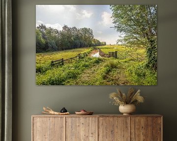 Typisch Nederlands polder landschap van Ruud Morijn