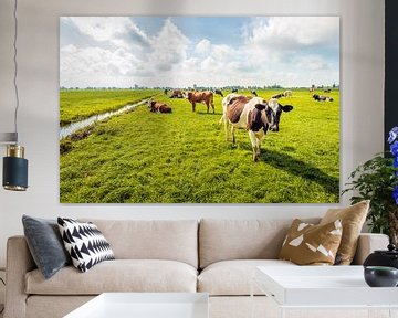 Koeien in een Nederlands polderlandschap van Ruud Morijn