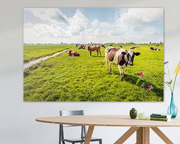 Koeien in een Nederlands polderlandschap van Ruud Morijn