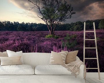 Thunder and heather by Niels Tichelaar