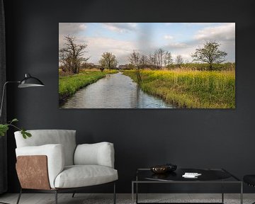 Kleurig Nederlands landschap in het voorjaar van Ruud Morijn