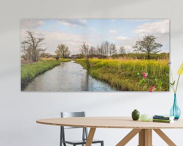 Kleurig Nederlands landschap in het voorjaar van Ruud Morijn