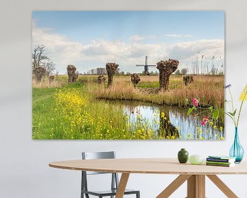 Paysage coloré de polders hollandais avec moulin à vent