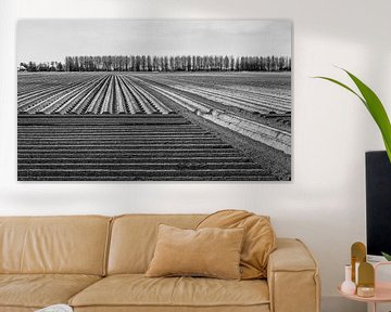 Aardappel ruggen in een Nederlands landschap van Ruud Morijn
